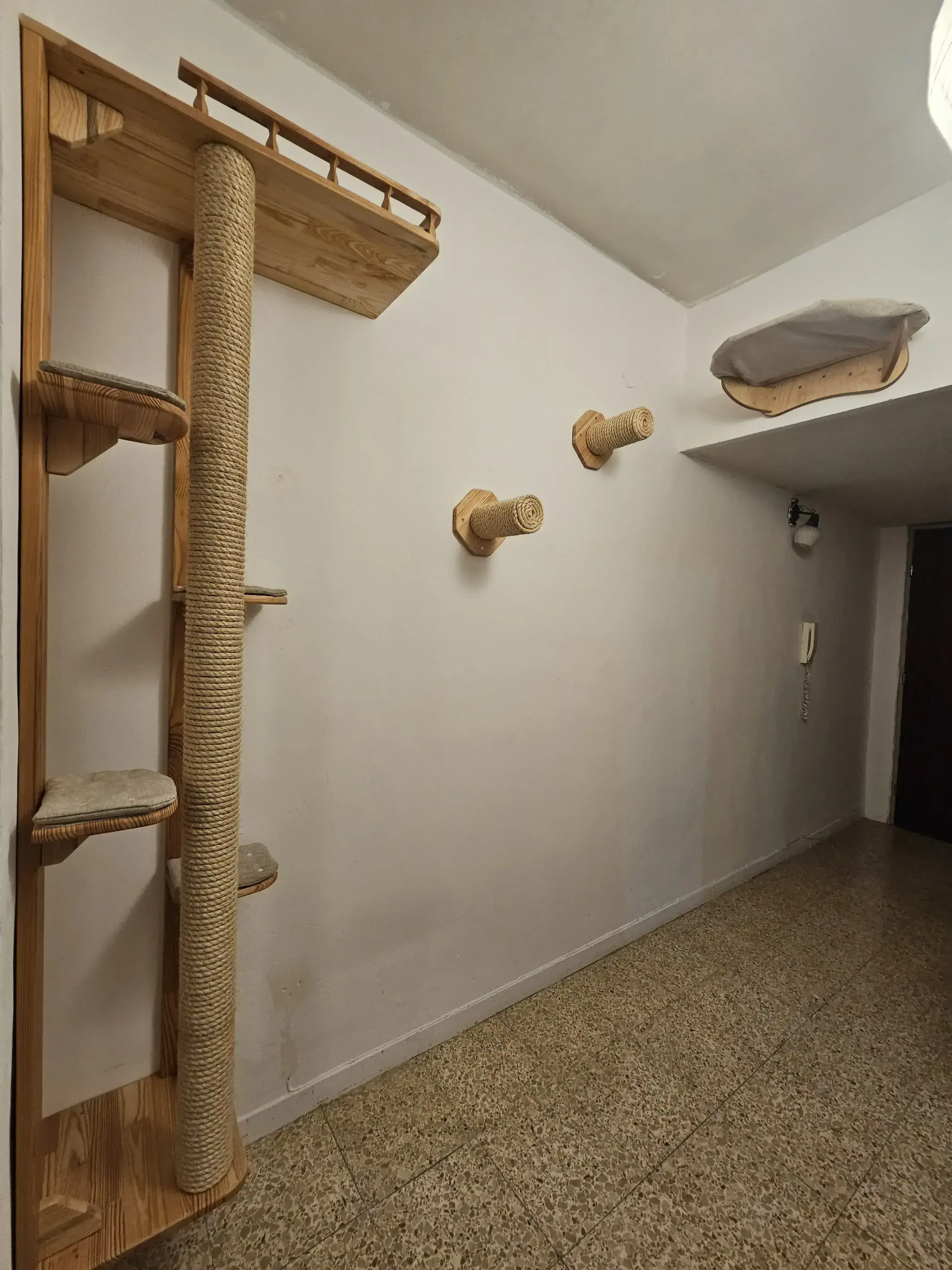 מתקן פריקת אנרגיות לחתולים