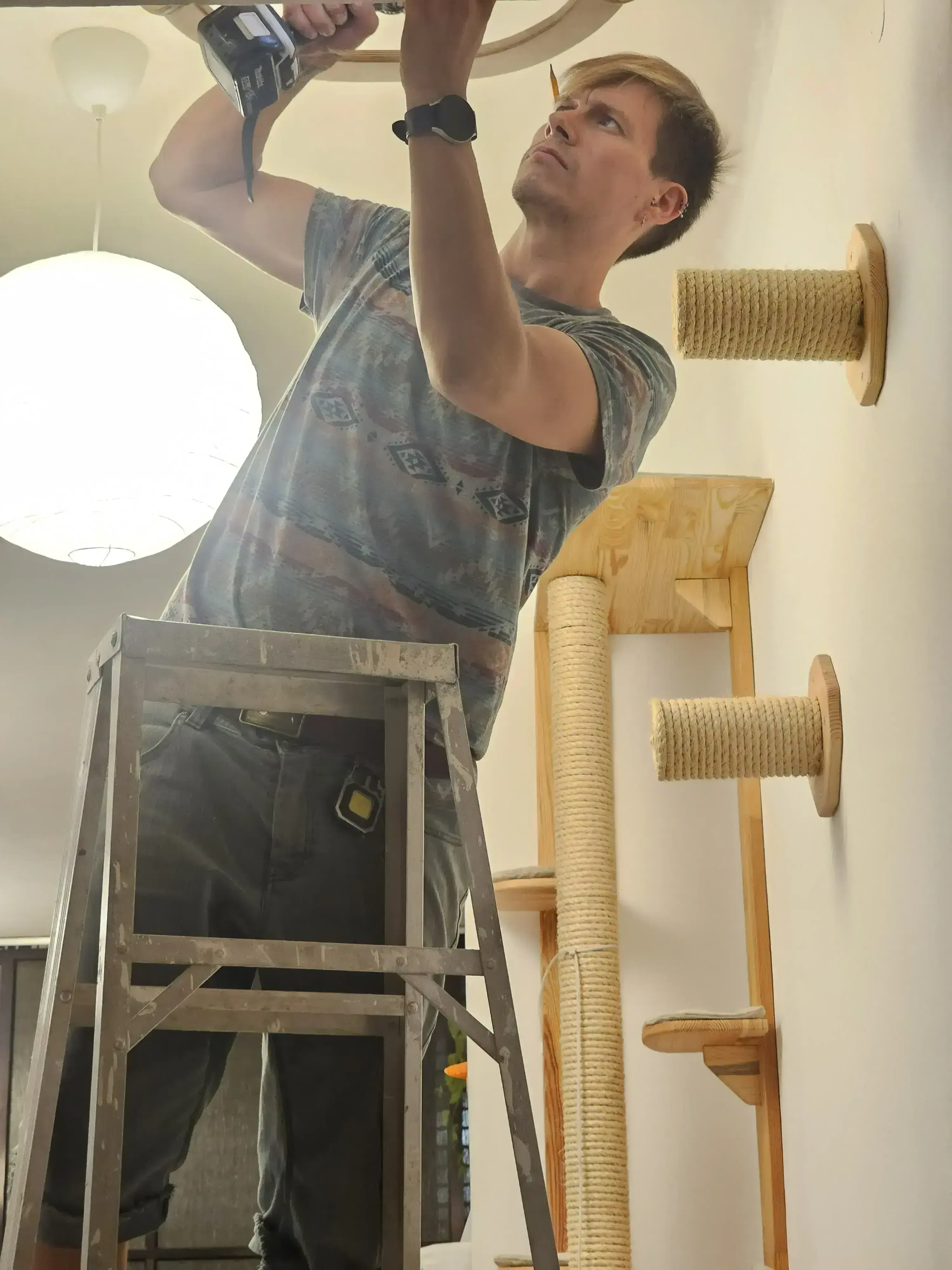 התקנת מתקן החתולים