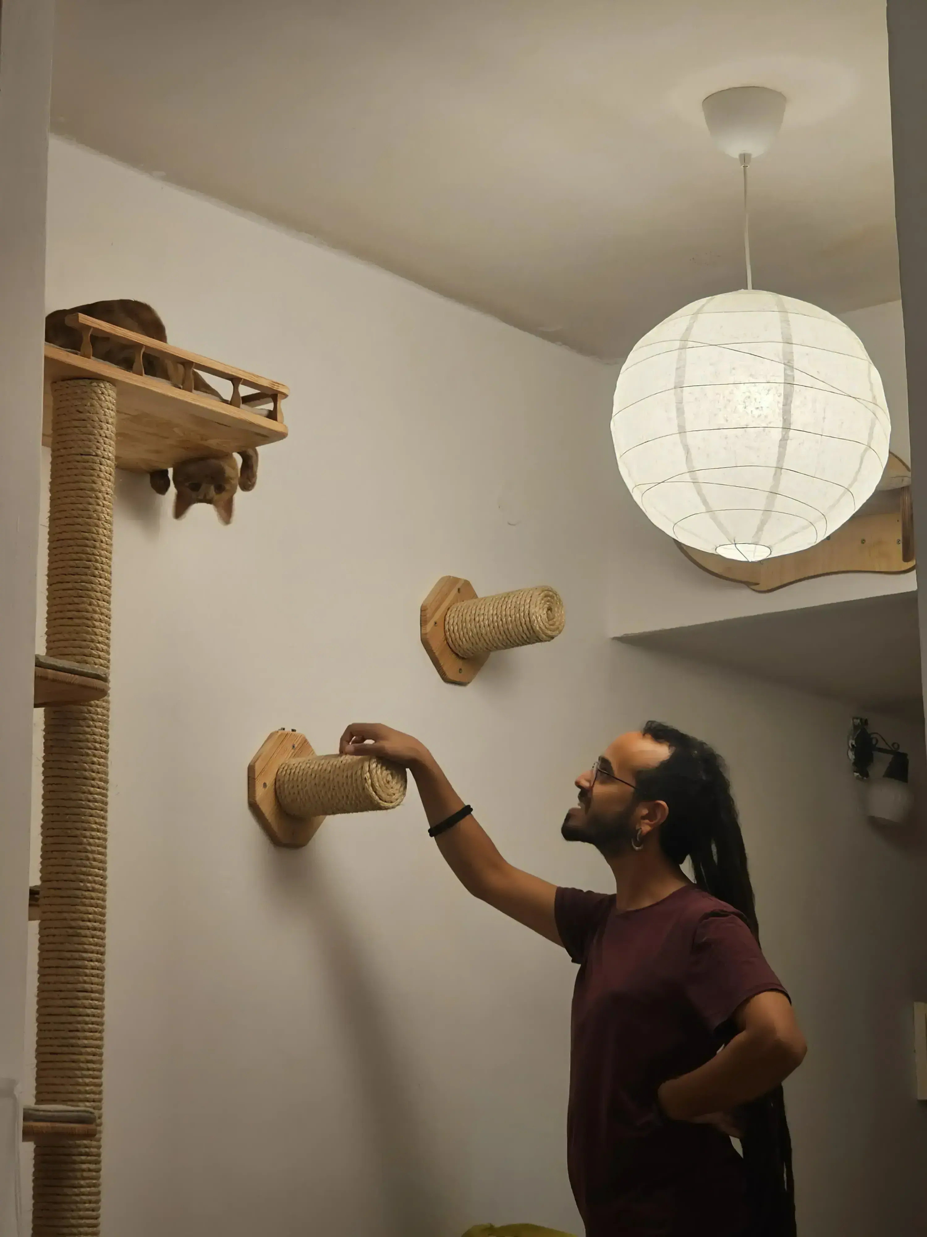 גורי החתול כבר חונך את המתקן החדש שלו