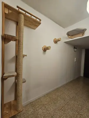 מתקן פריקת אנרגיות לחתולים